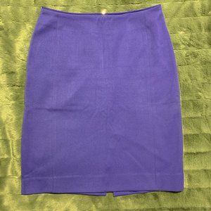 Blue Pencil Skirt